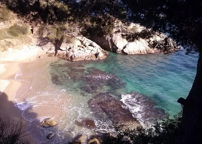 Πανσιόν La Marina