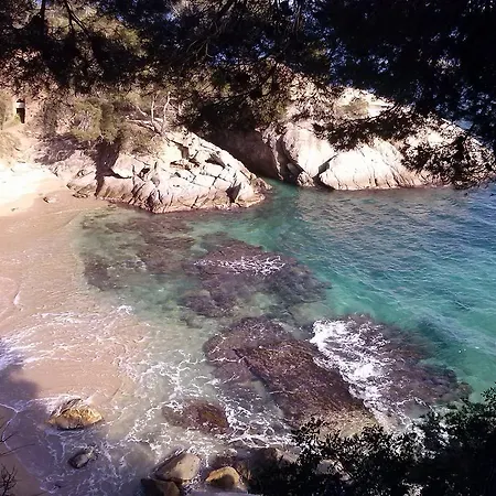 Pensión La Marina